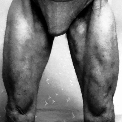 __WolfHeart__'s profile picture. The democratic party is the party of corruption and pedophilia
Poveri Comunisti Dimmerda