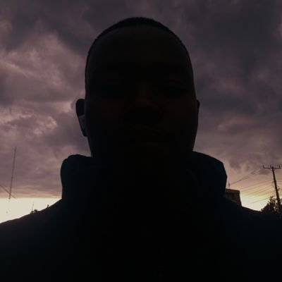 tracepanic's profile picture. Random web developer