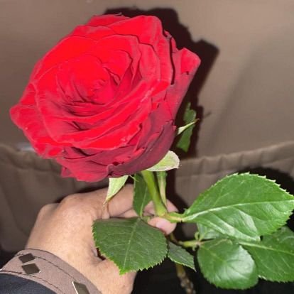 ByWsym80702's profile picture. 