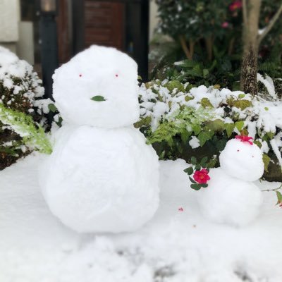 ゆきだるま (@yuki_daruma_tan) / Posts / X