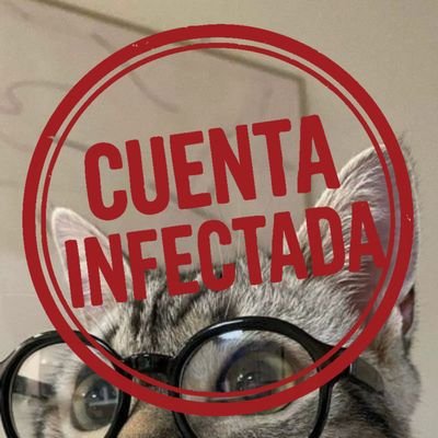 C1249228's profile picture. 