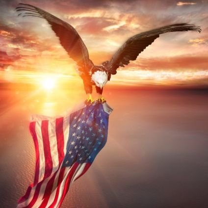 SossomanTodd's profile picture. Christian, pro-constitution, Conservative. Living my best life.