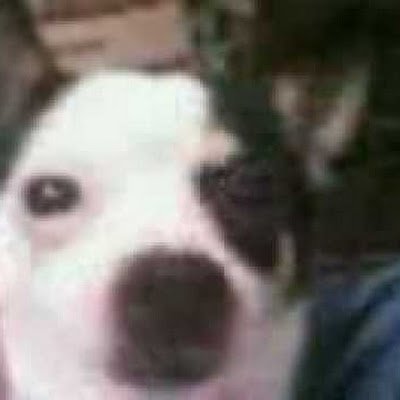 ManuelCantuo73's profile picture. 