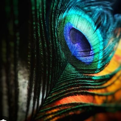 Rajukp510's profile picture. Airdrop Hunter @baseapp Builder @ofc_the_club 
Fans Farcaster https://t.co/hoKEgP5kIM
π²
#Kaisar #ZeroNode.