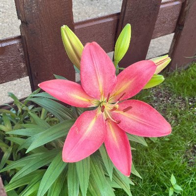 shoulder_mazzy's profile picture. econ - music prod - manufacturing processes