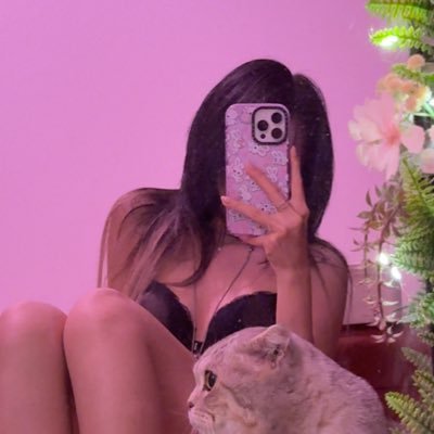 mellowmillies's profile picture. 🧸