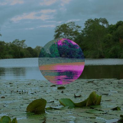 amitsharma_raw's profile picture. Full Time Photographer | Leica Akademie Mentor | 💎

https://t.co/yhcjwJlU5X