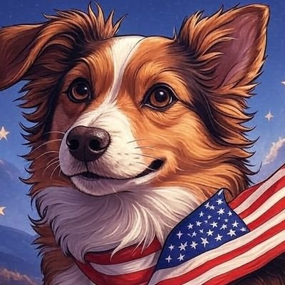 SophieAnimo's profile picture. 🐶#Animaliste 🇲🇫@MLP_officiel 🎾@SofiaKenin 🇺🇲#Trump