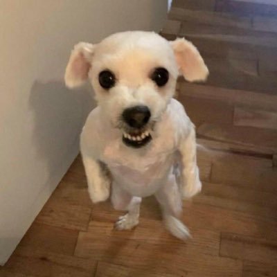 rter4444's profile picture. 