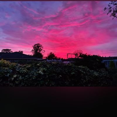 Sofia4453585945's profile picture. I love you🦋