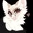 vorpedd's profile image