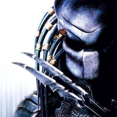 BernardVol66's profile picture. $Usd1 UnicornSheepDoh1💥