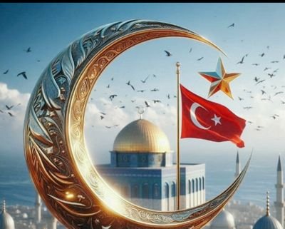 Osmanya62011504's profile picture. @osman_02@sosyal.teknofest.app