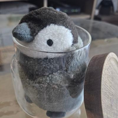 dbd_kyokyo0415's profile picture. DBD/配信/キラーメイン(三角)/ペンギン/お料理/ファッション/ジェンダーレス
　
仲良くしてね🐧