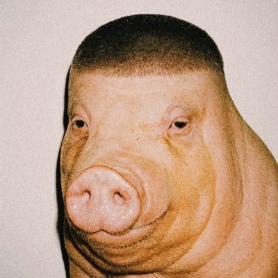 Silent09Crypto's profile picture. The pig that doesn’t follow trends — it creates them. PiggyTrend is here to flip Solana with pure meme power, zero utility, maximum chaos. Every pump?