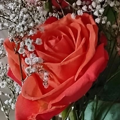 lakenye__bae's profile picture. 