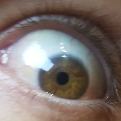 ConanLevi69's profile picture. 