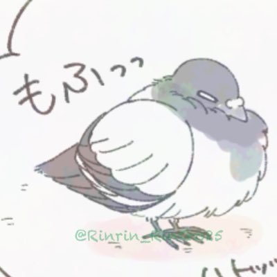 @Rinrin_RinGo25