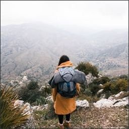 NrhmxS53585's profile picture. 