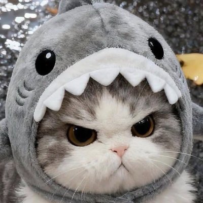 iIy_onIy's profile picture. Avri's 2nd acc
alot of league and a bit of nf
Pure league acc @Traumwah