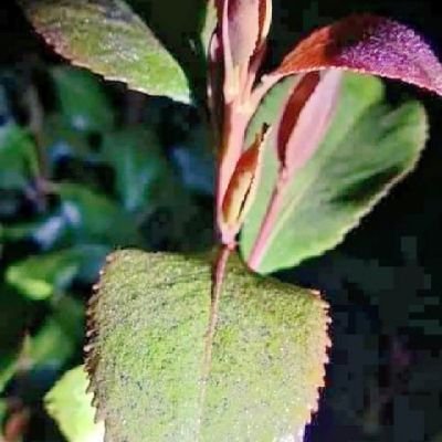 9UllJ4's profile picture. 