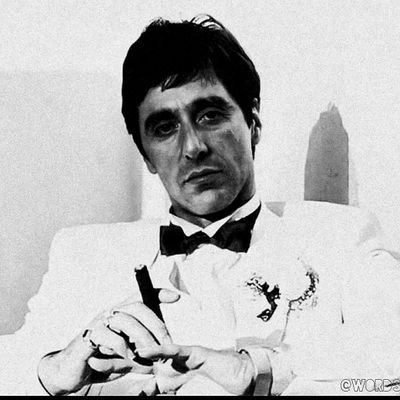 254Mesh's profile picture. ⭐️