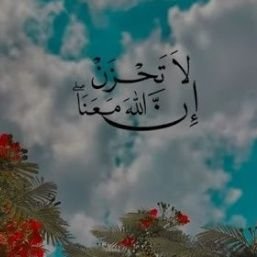 shwg1352's profile picture. 