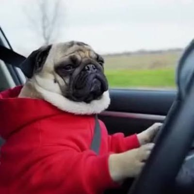 thetyfly2's profile picture. Conta backup. Homem, branco, católico, fumador, benfiquista.