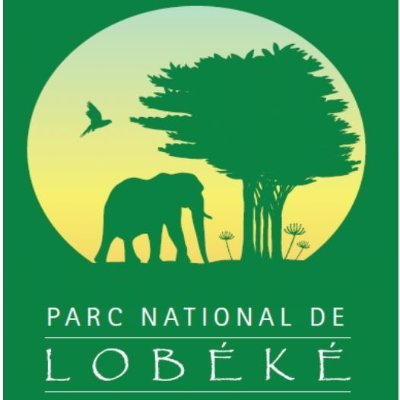 PLobeke62267's profile picture. 