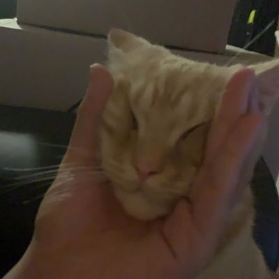 4house_q's profile picture. 