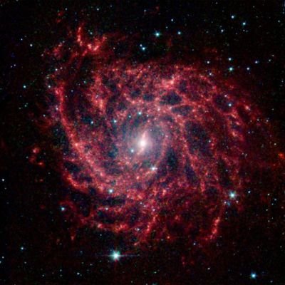 el7_77's profile picture. ''The idea of a biological cosmos seems strange only when it is considered against an ideology which maintains that life is alone in an immense dead universe.''