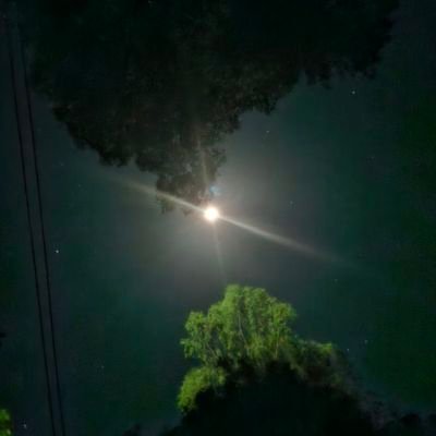 milanobi's profile picture. found myself dwelling in this land of intrigues and wonder