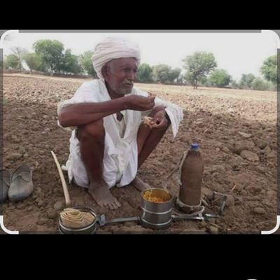 SinghYadav82835's profile picture. रोटी  है हक की, चिंता है सब की  ll
 100% follow back