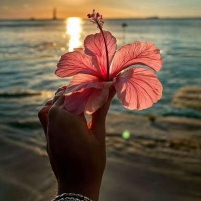 wamboeyke's profile picture. 24•11•2025