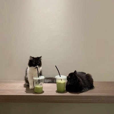 mahshid1115's profile picture. 