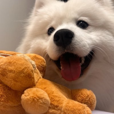 Sheeba60662827's profile picture. The world won't let you down; you're the one letting yourself down.