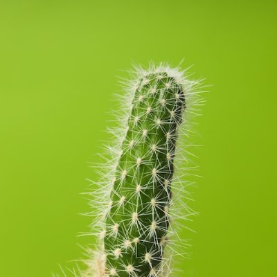 Heisenberg57721's profile picture. Not much left to say.