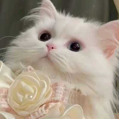 srihariraju_k's profile picture. You'll never know where your limits are until you push them