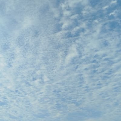 MpsantosLeila's profile picture. 