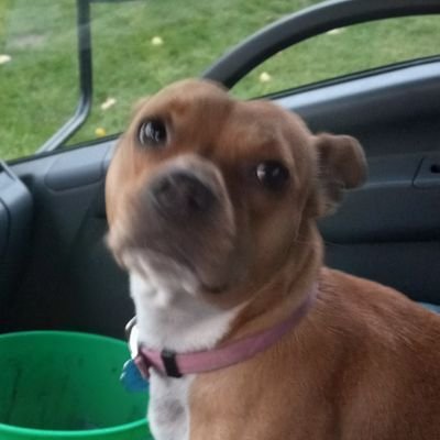 RealChronichols's profile picture. No Porn. No Solicitations. Don't DM unless given permission. 
Christian, Dad, Gamer, Conspiracy Theorist, Thinker, Tax Paying American.