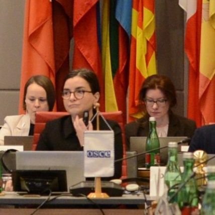 a_davitashvili's profile picture. Diplomat | Head of Political & Public Affairs Unit at OSCE 🇦🇱 | Former DCM 🇬🇪 Embassies 🇷🇴 & 🇧🇬 |  🐕 🍽 🍷🎾 | RT ≠ end