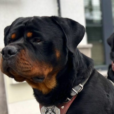 Fatihay6638's profile picture. 