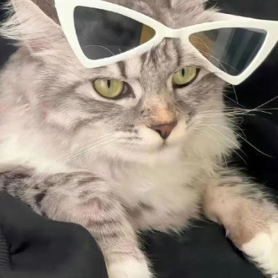 ramtekeyug's profile picture. Don't be afraid of going slowly, just keep going. Even a tortoise can get ashore, so why can't you?