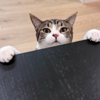 𝙷𝚞𝚗𝚗𝚒𝚎 ♡ Profile