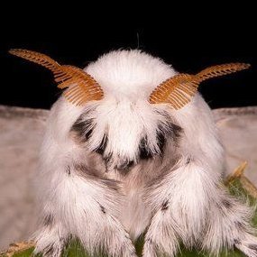 toxicnihilist's profile picture. Escritor.
☾ ﾟ｡ ⋆