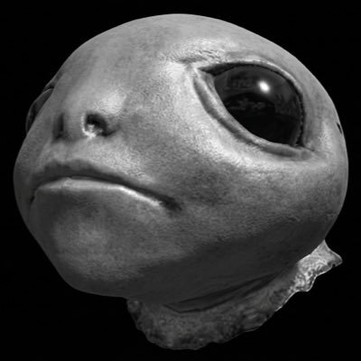 firekeeperslave's profile picture. Head of DS2 hate speech @fromsoftware_pr