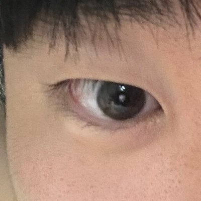 n1572545's profile picture. 