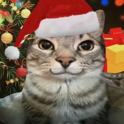 Floppa1282's profile picture. Meow