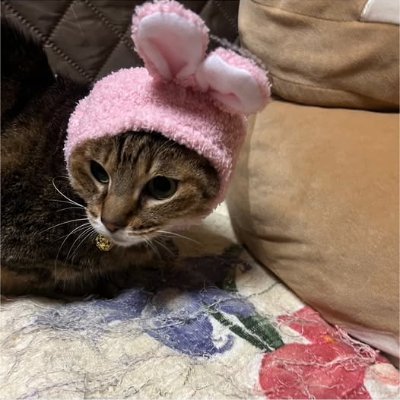 usaren9825's profile picture. Remember HANA No.66 #旭川女子凍死事件 #再捜査を求めます #私たちは少女を忘れない #宮城県若林警察署相談中 #ここからの名前等の乱用全てお断り #シカトしてうざい基地外連中迷惑 #プロフィールリンク内東北エリア風俗関係者お断り