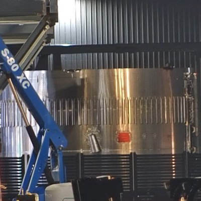 19Booster's profile picture. Flight 12 Super Heavy booster.